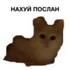 zalupa_kitty 22