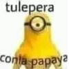 gay minions 22