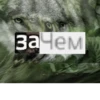 Волк за брата 21