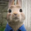 Cartoon characters 30