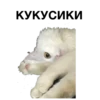 zalupa_kitty 27