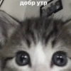 Стикеры 👉🏼 5