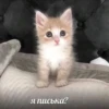 Стикеры 👉🏼 8