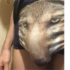 animalsIRL 10