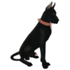Besti Dog Pack 7