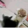 BcejUlL_by_hexdevop_test_bot 8