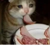 BcejUlL_by_hexdevop_test_bot 11