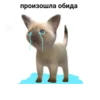 animalsIRL 15