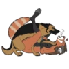 Besti Dog Pack 12