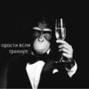 monkey gang 15