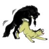 Besti Dog Pack 13