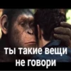 monkey gang 16