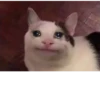 BcejUlL_by_hexdevop_test_bot 13