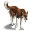 Besti Dog Pack 15