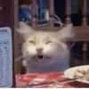 BcejUlL_by_hexdevop_test_bot 14