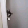 BcejUlL_by_hexdevop_test_bot 15