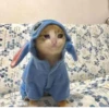 BcejUlL_by_hexdevop_test_bot 16