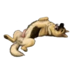 Besti Dog Pack 17