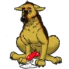 Besti Dog Pack 18