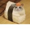 BcejUlL_by_hexdevop_test_bot 19