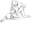 Besti Dog Pack 20