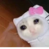 BcejUlL_by_hexdevop_test_bot 20