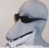 animalsIRL 25