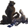 Besti Dog Pack 21