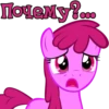 I'm Berry Punch 16