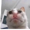 BcejUlL_by_hexdevop_test_bot 24