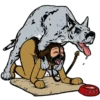 Besti Dog Pack 27
