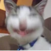 BcejUlL_by_hexdevop_test_bot 30