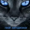 Твой смысл жизни от 28