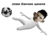 ban 28