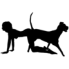 Besti Dog Pack 30
