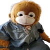 Monkey by @normtips 2