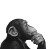 Monkeys 2