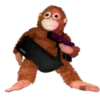 Monkey by @normtips 4