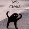 babyfleks 6