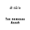 Arabicstick 4