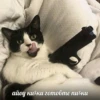 Всраті коти 5