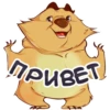BearBob 6