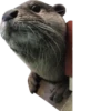 babyfleks 9