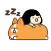 Belly corgi | 6