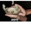 yooooooooooy 8