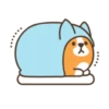 Belly corgi | 8