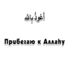 Arabicstick 13