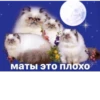 yooooooooooy 11