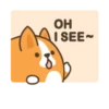 Belly corgi | 10