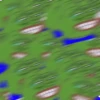 Pepe 12